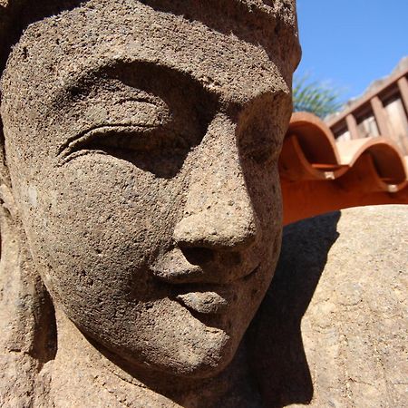 Villa Jardin De Buda アロナ エクステリア 写真