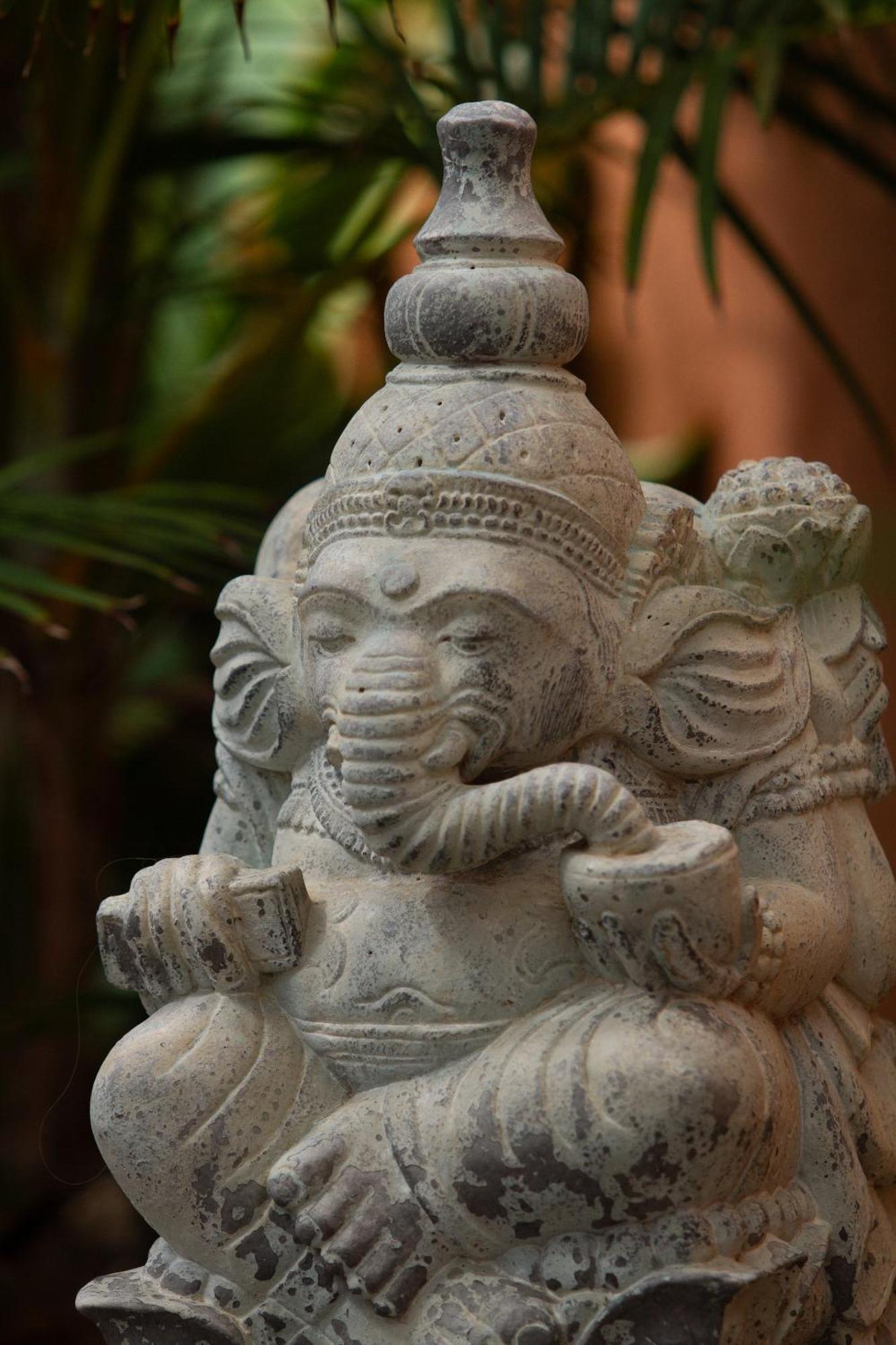 Villa Jardin De Buda アロナ エクステリア 写真