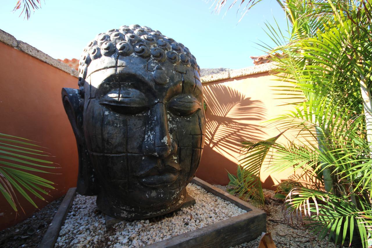 Villa Jardin De Buda アロナ エクステリア 写真